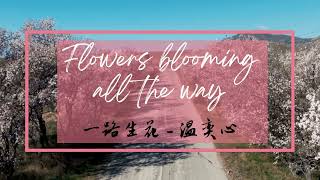 一路生花 - 温奕心 | Flowers blooming all the way - Wen Yixin | Lyrics, Pinyin and Engsub