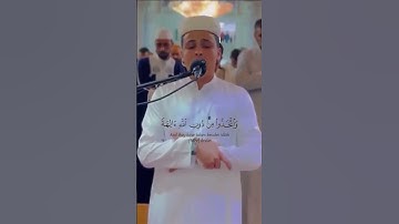 أفرأيت الذي كفر بآياتنا وقال لأوتين مالا وولدا .. القارئ { عبدالعزيز سحيم }