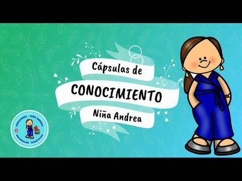 Estructura interna y