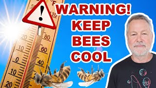 Beekeeping | Keep Your Bees Alive During This Killer Heat Wave