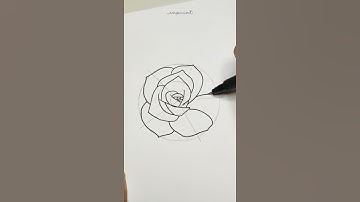 How To Draw A Rose 🌹 Simple & Fast #shorts