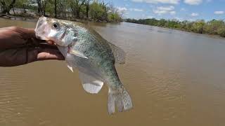 How To Catch Crappie In Creeks When Fish Are Spawning.... Lake Eufaula OK BEATDOWN!!