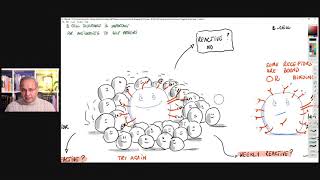 Self Tolerance and Microbe Triggered Autoimmunity (B Cell Focus) @DrBeenMedicalLectures