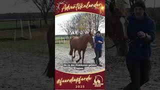 Pferde gesund bewegen Adventskalender – Tor 15 #fuerdiepferde