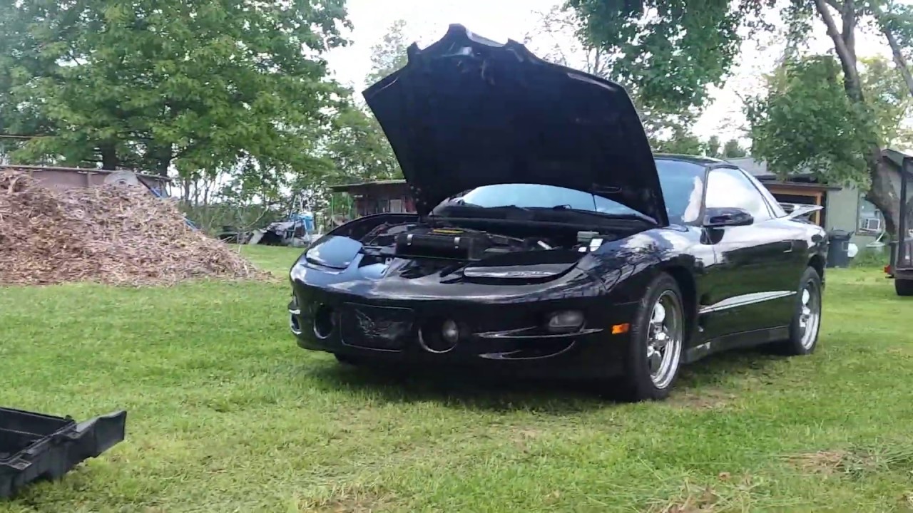Fixing Cattle Panel Garden Gates, Plastic Hex Fence & Mulch, Cheap Blue Tarps, Working on Cars