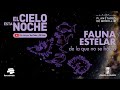 El cielo esta noche: Fauna estelar | Planerario de Medellín