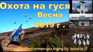 Охота на гуся весна 2019 г Охота на гуся весна 2019 г