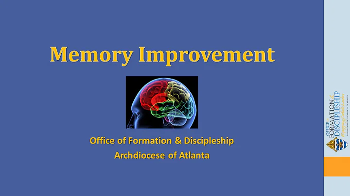 Memory Improvement—Learn 12 Things You Can Do to Improve Your Memory