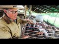 How Joel Salatin brings out the “Pigness” of the Pig