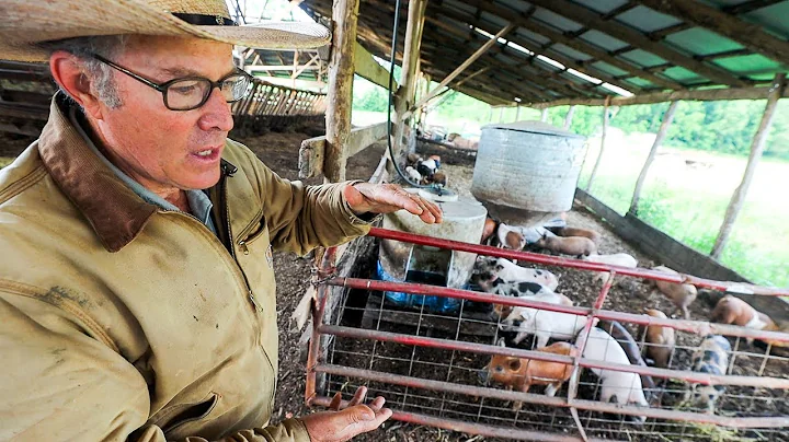 How Joel Salatin brings out the “Pigness” of the Pig
