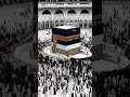 kaba dekha mery Mula ❤️❤️❤️
