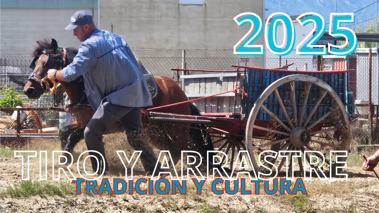 Tiro y Arrastre, tradición y cultura