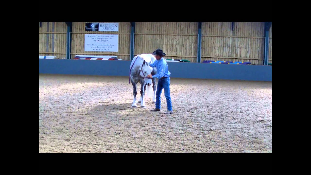 Bridling the head and ear shy horse with Mike Hughes Norfolk, United