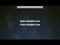 Kelvin Momo & Sjava - Uthando Lyrics Video
