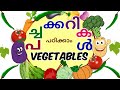 പച്ചക്കറികൾ/vegetables malayalam and english names/പഠിക്കാം