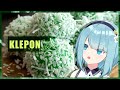 【Klepon】what is this super green sweet balls from overseas【Cooking】