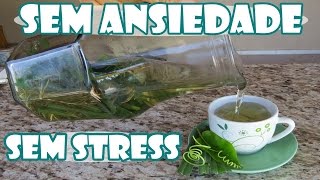 SEM STRESS/ SEM ANSIEDADE - Remédio caseiro para ACALMAR - Fran Adorno