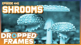 Celebrity Shrooms ft. Dexbonus - Dropped Frames Episode 441 Profile