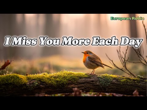 💞 I Miss You More Each Day  | Emotional Pop Ballad