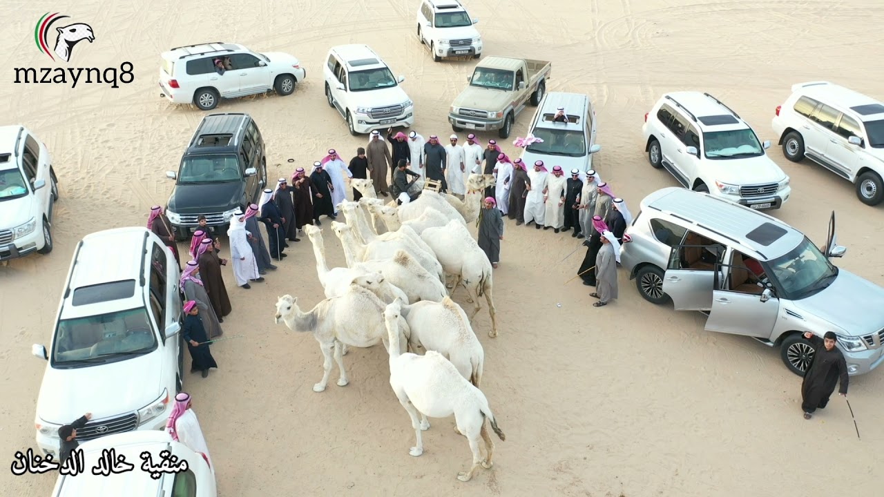 منقية خالد الدخنان تصوير حسين الحميدي