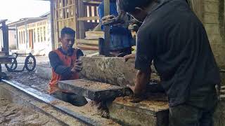 Perfect Alignment! How High-Tech Sawmills Create Flawless Boards