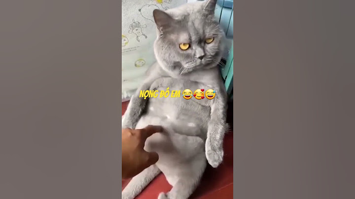 Xin vía ăn nhiều không mập 😂🥰😅 #shorts #dangyeu #hàihước #funny #funnyshorts #cat#viral