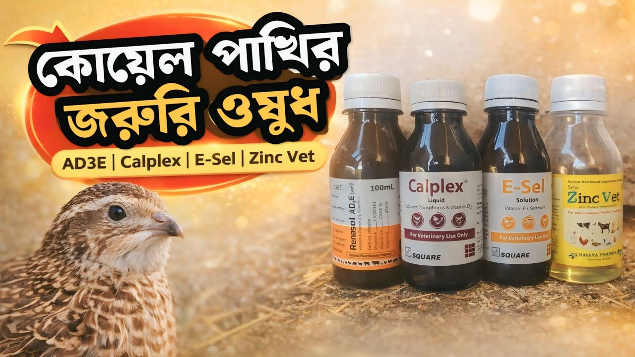 কোয়েল পাখির জন্য AD3E, Calplex, E-Sel, Zinc Vet ব্যবহার বিধি ও কাজ ...