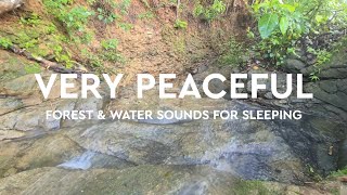 Make You Sleep Soundly Tonight, Water Sounds In The Forest, Very Peaceful
