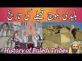 History of buledi baloch qom  bulaidi zaat ki tareekh in urdu