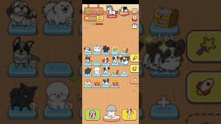aku main anjing beruntung/lucky puppy segera eonwload untuk dapat iphone 12 pro max screenshot 3
