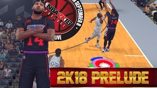 What I Expect From NBA 2K18's Prelude! NBA 2K17 Pro Am Gameplay!