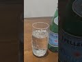 S.Pellegrino Sparkling Natural Mineral Water, Plastic Bottles, 16.9 Fl Oz (Pack of 12)