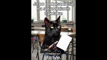 Thumbnail of Akurat dzisiaj tak miałam XD 😂 #cats #śmieszne#greenscreen #cat #trend#memes#funny#memy #catmeme
