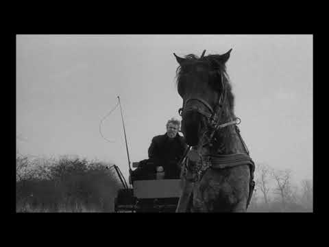 Friedrich Nietzsche - The Turin Horse, Opening Scene