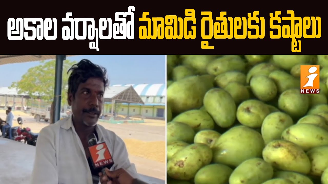 Damage to mango farmers || అకాల వర్షాలతో మామిడి రైతులకు నష్టం || iNews ...