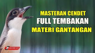 MASTERAN CENDET FULL TEMBAKAN MATERI GANTANGAN GARANSI JADI JUWARA