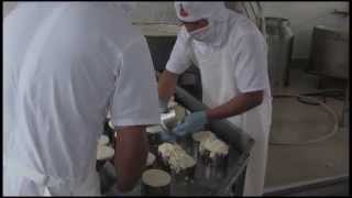 Elaboración de queso fresco QUESEROS DE CHIMBORAZO