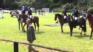 Springprüfung Kle L - Carolina Dreyer