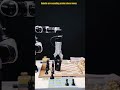 Robotic Precision Work Skill That Masters Chess Moves