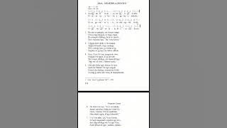 BZ 240A Amaedola Zoloyo #bukuzinuno #bnkp #nias