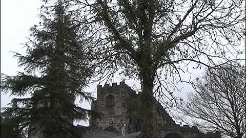 Branching Out Tree Services