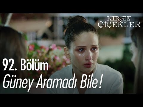 Güney aramadı bile! - Kırgın Çiçekler 92. Bölüm