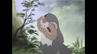 Let it out with a big grrrr vine