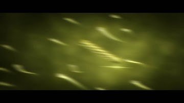 Broodi Intro | CraftArtz [DUAL w/ Striceartzz]