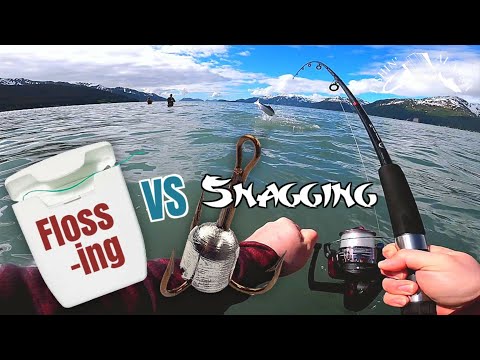 SNAGGIN SEWARD SALMON!