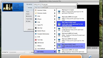 Wondershare Video Converter Pro For Mac Review