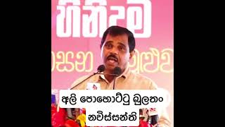 උදමබර බව පෂප ශවත වරණසස ඛදඛ