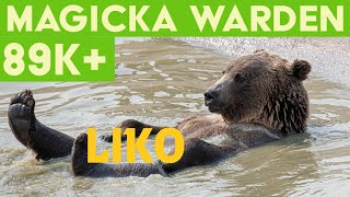 Magicka Warden PVE Build (89k+) - Stonethorn - Elder Scrolls Online ESO