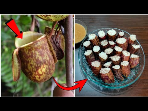 Resep Bikin Lemang Periuk Kera