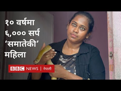 India snake catcher woman: २४ वर्षे भारतीय महिला जो सर्प समात्छिन् - BBC Nepali Sewa